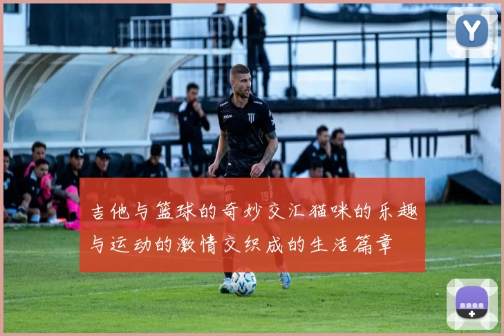 吉他与篮球的奇妙交汇猫咪的乐趣与运动的激情交织成的生活篇章