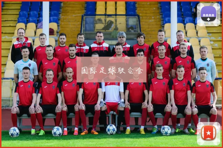 国际足球联合会